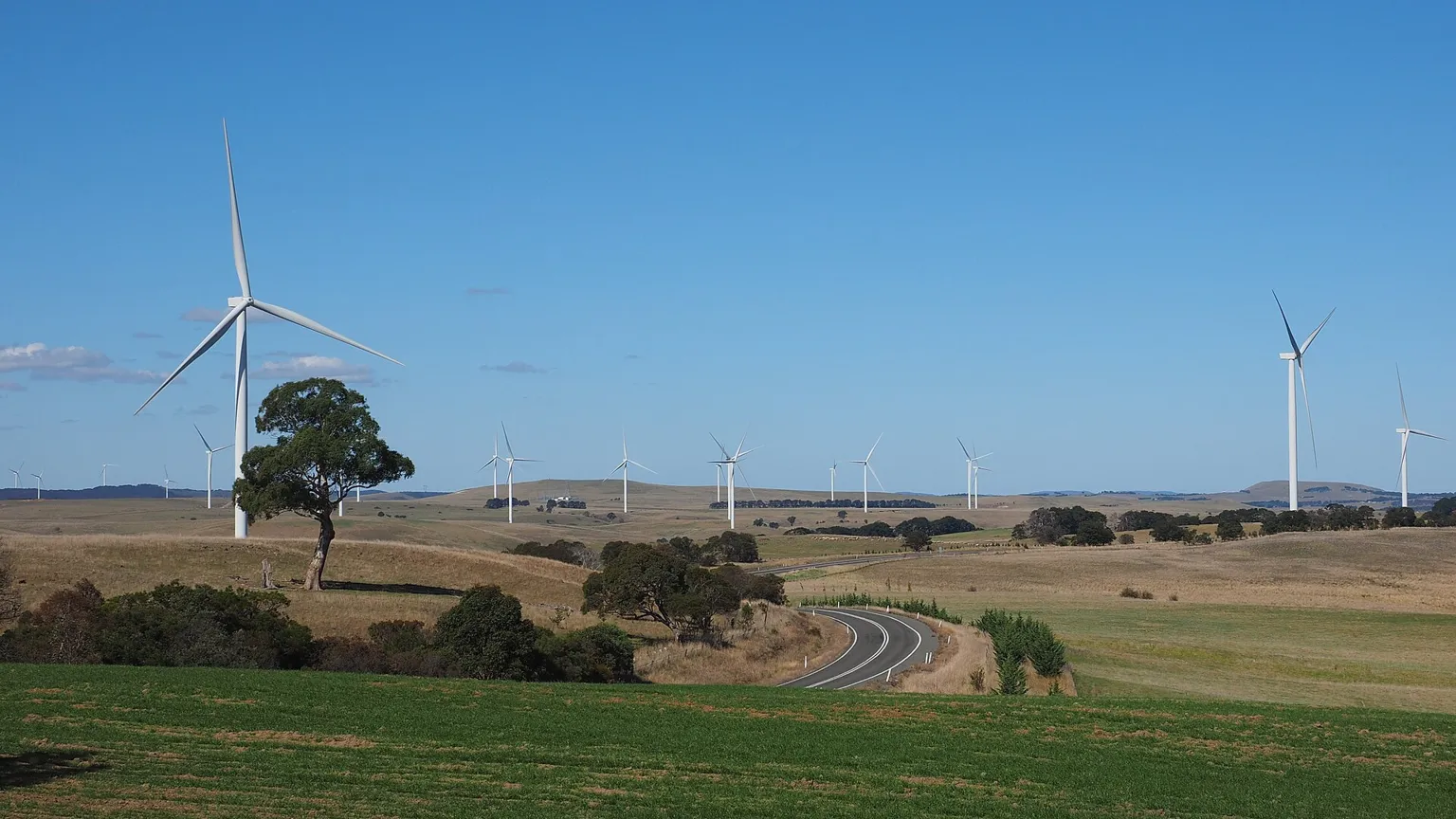 Wind turbines on farmland under a blue sky