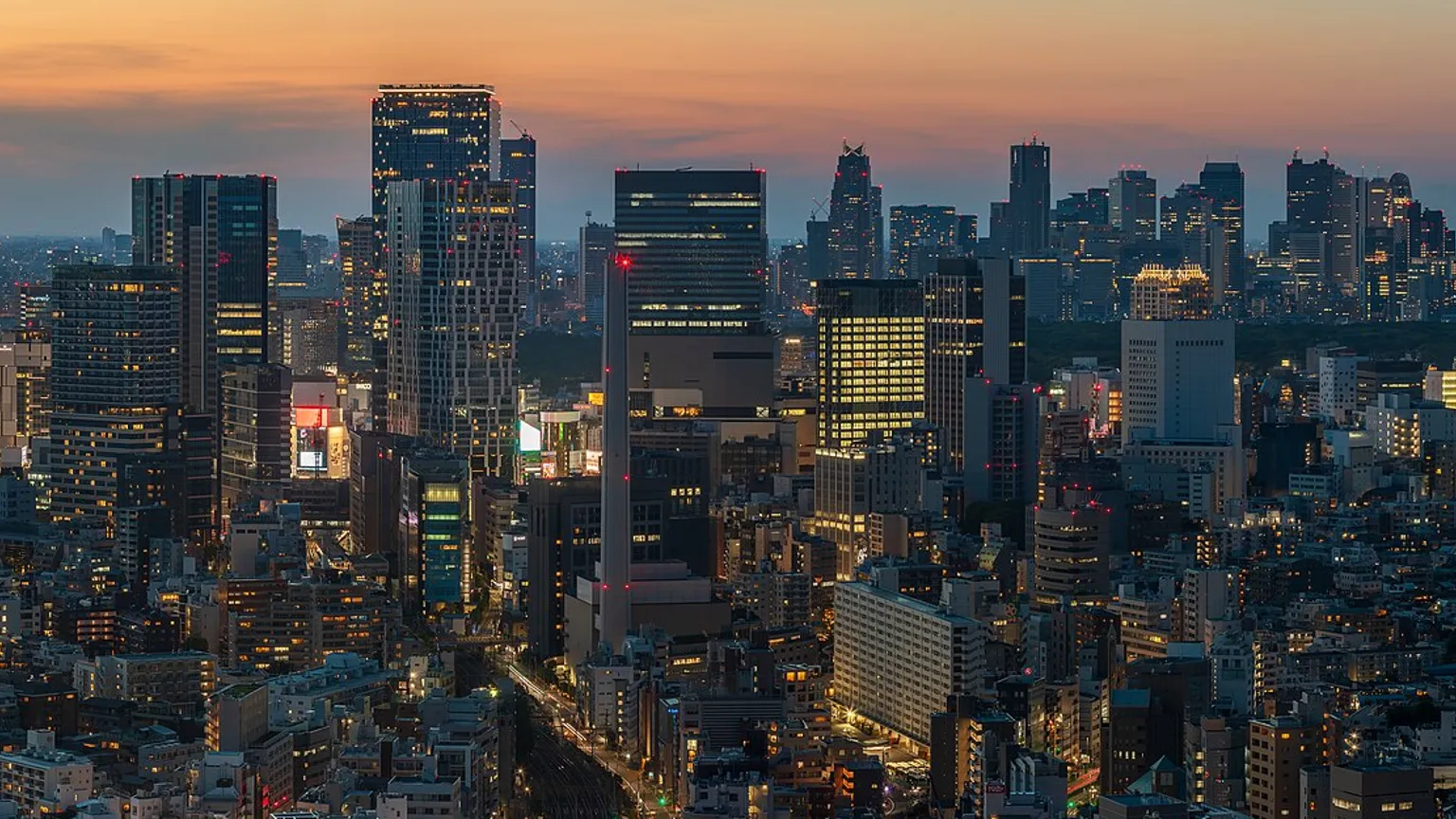 The Tokyo skyline at night